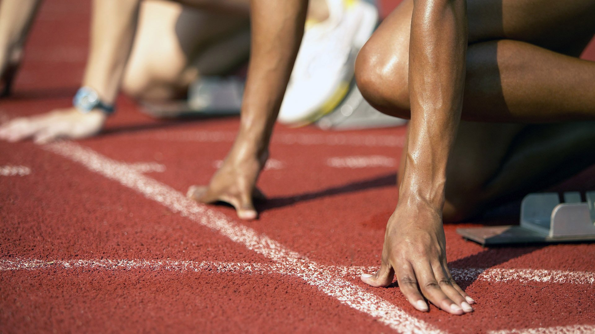 综合格斗赛场焦点！澳大利亚队对阵克罗地亚队，年轻新星表现惊艳，未来可期